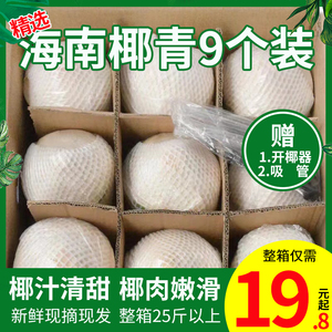 海南椰青新鲜椰子9个装去皮香水椰子当季孕妇水果一整箱包邮椰汁2