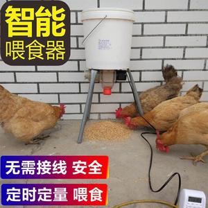 养鸡自动喂食器鸡鸭鹅全自动定时喂食工具家用鸽子信鸽定时投喂器