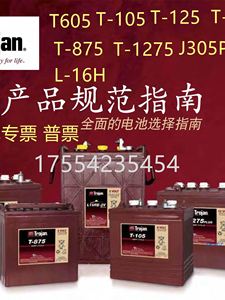 邱健蓄电池T-1275T-145T-125T-105 6V225ahT-875洗地机电瓶L16-AC