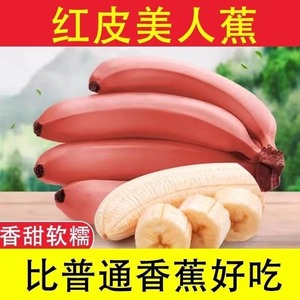 漳州红皮香蕉新鲜当季水果小红香焦红美人粉蕉芭蕉大果整箱自然熟