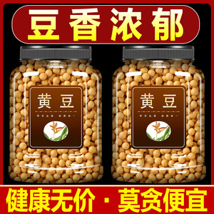 黄豆打豆浆专用老品种农家自种非转基因东北黄豆种籽批发发豆芽种