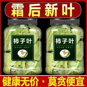 柿子叶500g中药材柿叶霜后柿子树叶新鲜干货柿子叶粉柿子叶茶泡水