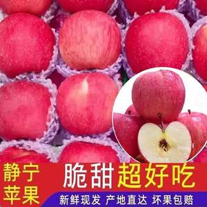 甘肃静宁红富士苹果冰糖心官方旗舰店苹果一级大果10斤整箱
