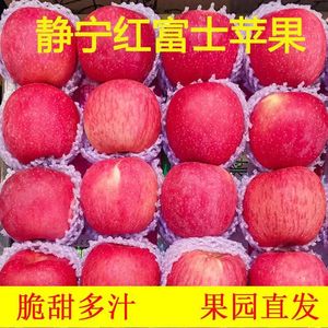 甘肃静宁红富士苹果冰糖心官方旗舰店苹果一级大果30斤整箱