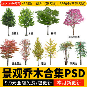 园林景观乔木ps素材PNG免抠常绿小乔木常用树木植物效果图后期PSD