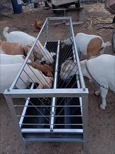 羊槽子食槽料槽双面干湿两用可拆卸安装方便耐磨耐腐蚀养殖圈养