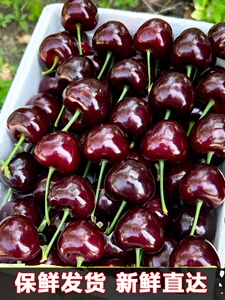 智利进口品种车厘子5斤新鲜水果大樱桃整箱顺丰当季现摘现发3孕妇