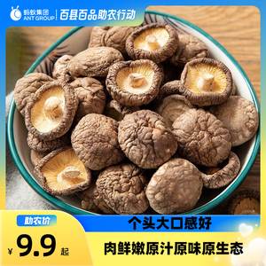 【头茬香菇】四川特级猴头菇 鹿茸菇养肠胃干货食用农产品