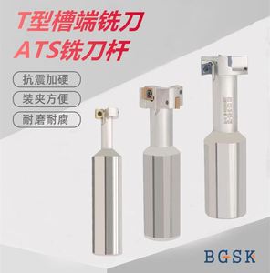 ATS槽型铣床刀杆T型槽端铣刀 T型数控刀杆ATS/XP-C25 32 40 50 21