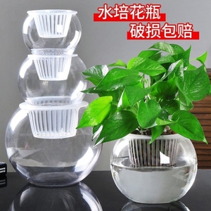 创意水培植物透明玻璃花瓶容器绿萝盆栽水养花盆圆球形小鱼缸器皿