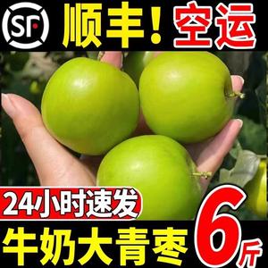 福建贵妃牛奶枣青枣冬枣新鲜苹果枣子当季水果1-5斤