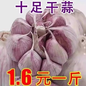 山东金乡紫皮大蒜干大蒜2023年5斤10斤装新鲜多瓣农家蒜头大蒜头