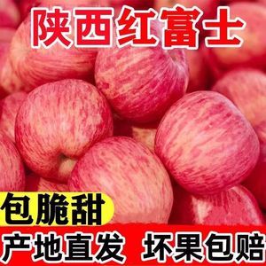 陕西特产正宗洛川红富士苹果水果新鲜脆甜品质果整箱产地发货包邮
