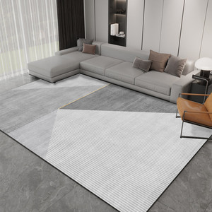 地毯客厅2024新款轻奢高级感现代简约家用沙发茶几毯卧室床边地垫