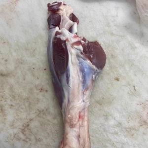 羊肉新鲜羊腱子3斤羔羊肉羊前腱羊小腿羊拐羊腿烧烤生鲜冷冻食材