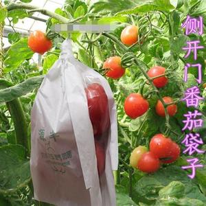 西红柿套袋专用袋洋柿子黑金刚树番茄纸袋美丽莎龙缤红蔬果保护袋
