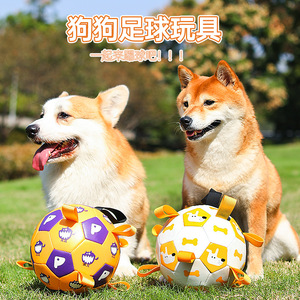 狗狗玩具球泰迪自嗨玩具拉布拉多柯基训练专用狗足球玩具狗球