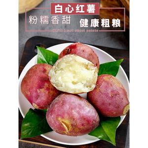 白心红薯老品种新鲜现挖红皮板栗薯农家四川山芋番薯香甜地瓜