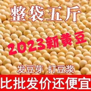 东北2023新黄豆打豆浆专用发豆芽颗粒饱满农家自种非转基因新鲜粗