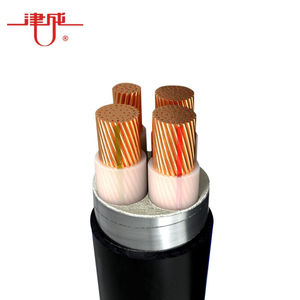 津成电缆ZRC-YJV22-0.6/1KV-3*10+1*6阻燃电力电缆1米