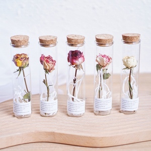 干花玫瑰试管玻璃小摆件永生花花束许愿瓶干花植物标本情人节礼物