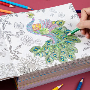 秘密花园涂色书儿童画画本涂色绘画本小学生图画本成人减压填色本