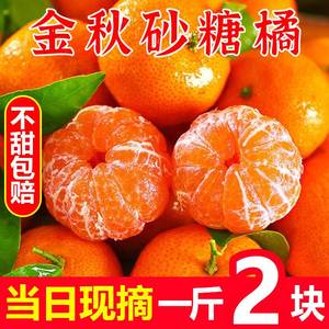 正宗广西金秋砂糖橘10斤新鲜沙糖桔9桔子蜜桔应当季水果整箱