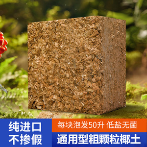 种植土盆栽椰壳砖兰花专用营养土 粗椰块铁皮石斛植料椰砖4kg包邮