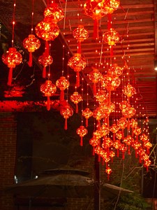 新年装饰灯家用户外春节过年led彩灯闪灯串阳台窗户大红灯笼挂件