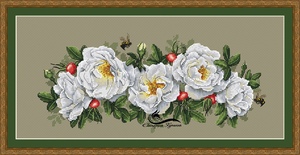 暖暖的十字绣 自配R线套件 白布无印花  白玫瑰 横幅客厅花花