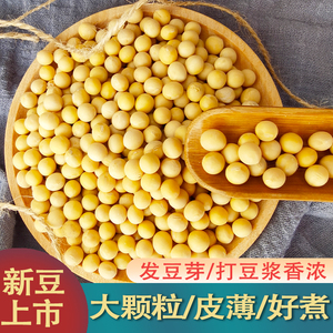 东北黑龙江黄豆打豆浆专用农家自种新货大颗粒发豆芽新黄豆生5斤