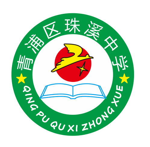 上海青浦区珠溪中学夏装春秋运动装冬装外套鸣企服饰学生校服现货