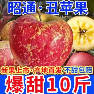 云南昭通丑苹果冰糖心脆甜苹果孕妇水果新鲜当季整箱10斤现摘包邮