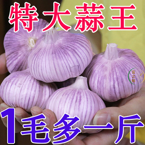 山东金乡紫皮大蒜头干蒜5斤2023新鲜蔬菜祘籽10斤农家蒜整箱批发