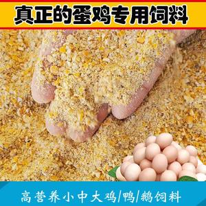产蛋鸡饲料玉米粒碎喂鸡下蛋鸡配合饲料小鸡食粮全价料中鸡育成期