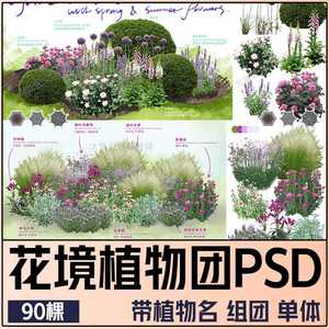 PS高清带名称花境植物组团效果图植物配置设计草花卉植物PSD素材