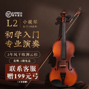 凤灵小提琴儿童初学实木成人专业级练习演奏教学L2官方旗舰店礼物