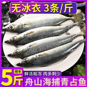 青占鱼新鲜冷冻鲐鲅鱼鲜活鲅鱼整条鲐鱼深海燕青鱼鲭鱼商用批发