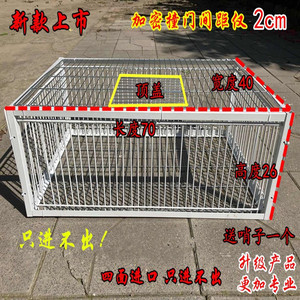 鸽笼专用地网收野自动鸽子神器跳笼进出门撞门铁笼天落户外收围网