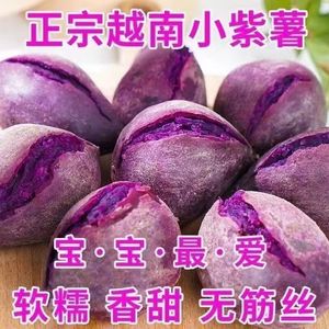 正宗越南小紫薯新鲜农家自种特级珍珠板栗纯正现挖紫薯粉糯甜5斤