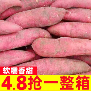 河南蜜薯10斤糖心红薯新鲜沙地番薯西瓜红一点红烟薯地瓜农家自种