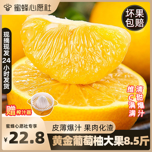 【蜜蜂心愿社】正宗平和黄金葡萄柚爆汁新鲜应季孕妇水果柚子