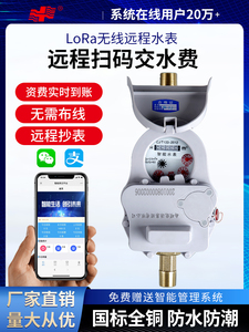 上海人民智能水表远程抄表预付费扫码充值控制出租房LoRa无线远传