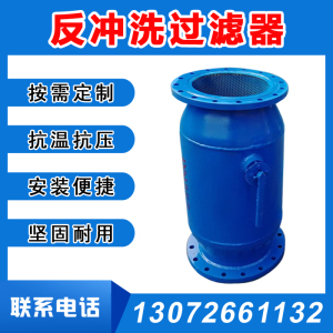 ZPG全自动反冲洗过滤器立卧式直通除污器DN32 40 50 65 80 100150