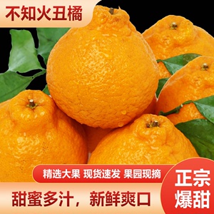 四川不知火丑橘新鲜水果现摘现发当季丑八怪丑柑柑橘整箱包邮