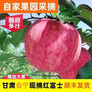 甘肃会宁精品丑苹果红富士6斤装新鲜当季孕妇水果时令脆甜中大果