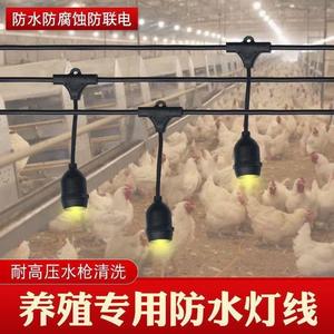 养殖专用灯补光灯头设备大棚养殖场用保温箱鸡鸭舍仔猪防水灯头