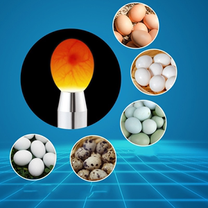 照蛋器手电筒验蛋孵蛋可充电孵化专用照蛋灯冷光LED种蛋检查机器