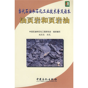 正版九成新图书|油页岩和页岩油施国泉中国石化