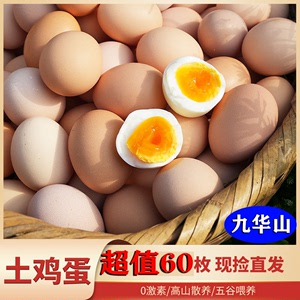 九华山高营养原生态散养走地鸡初生蛋30-40g鸡蛋老人小孩60枚包邮